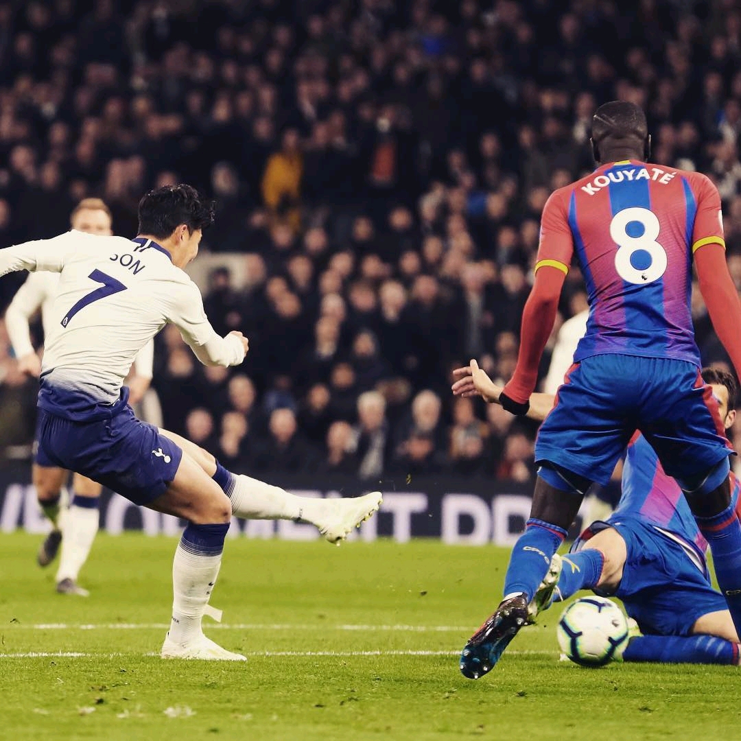 他们最大的 他们最大的