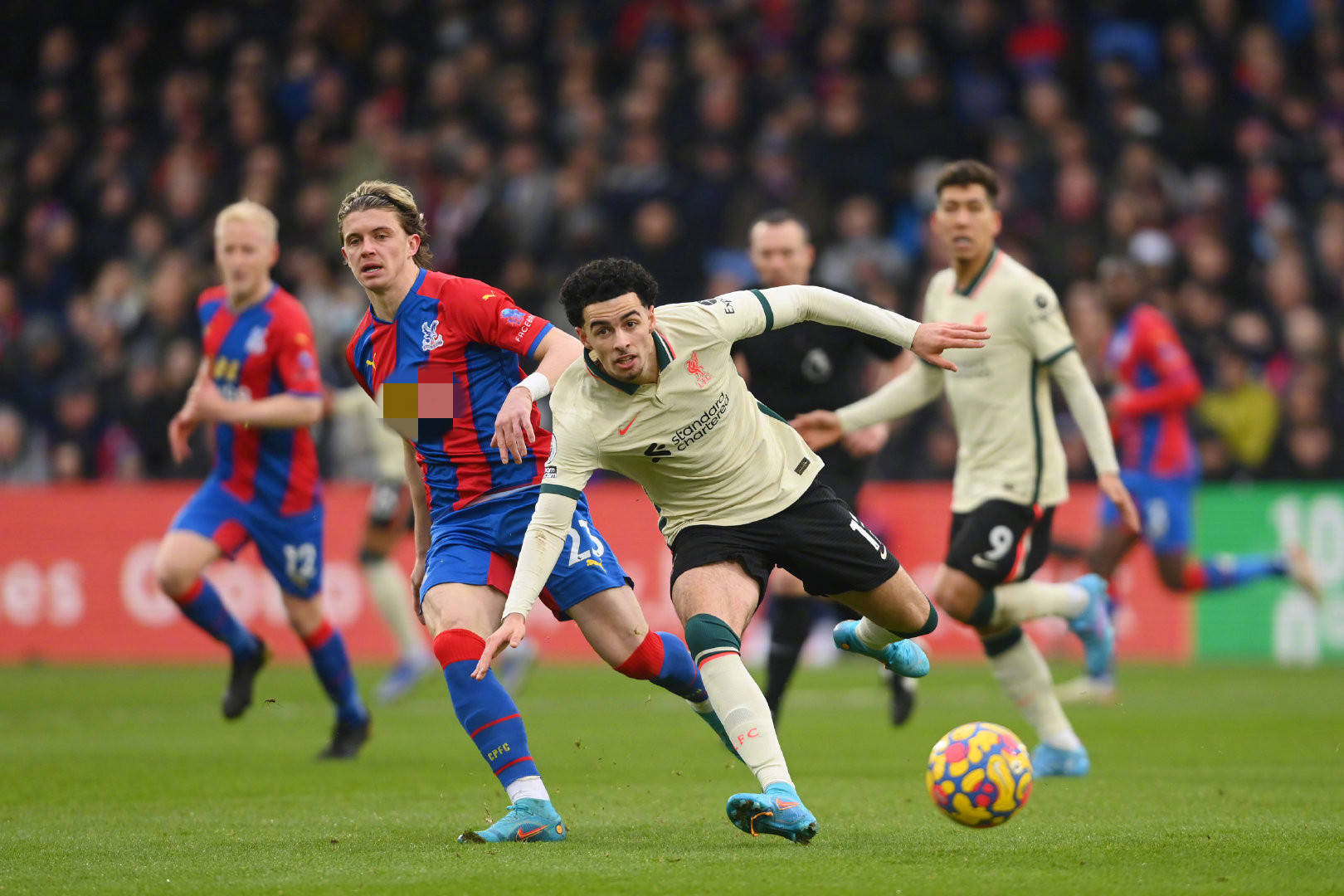 作不仅包括 作不仅包括